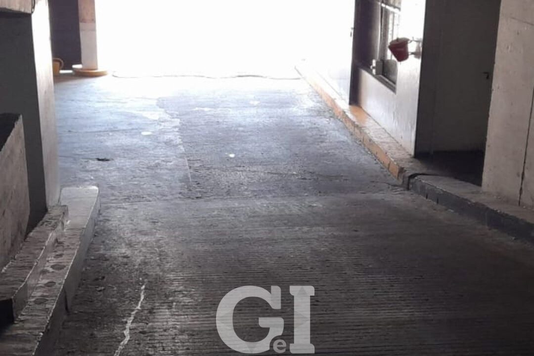 xr:d:DAFapujyK1Y:4,j:3729623754,t:23021514