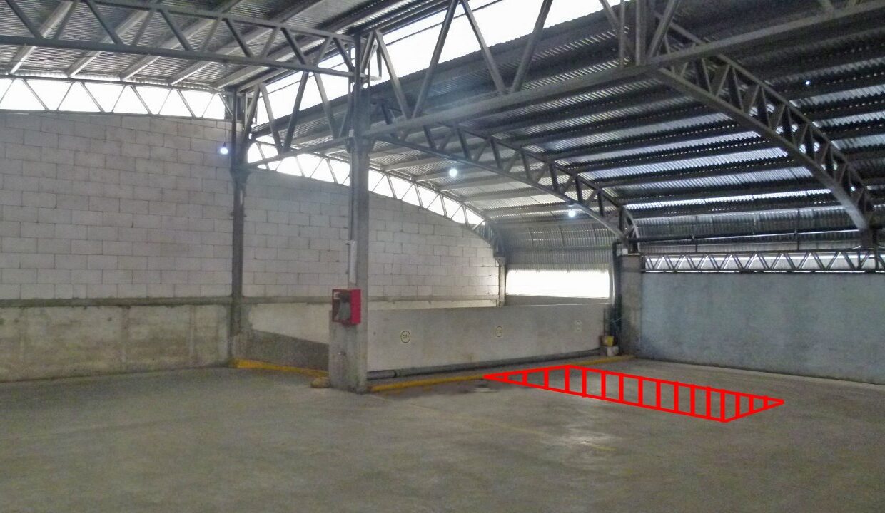 IMG-20250905-WA0031