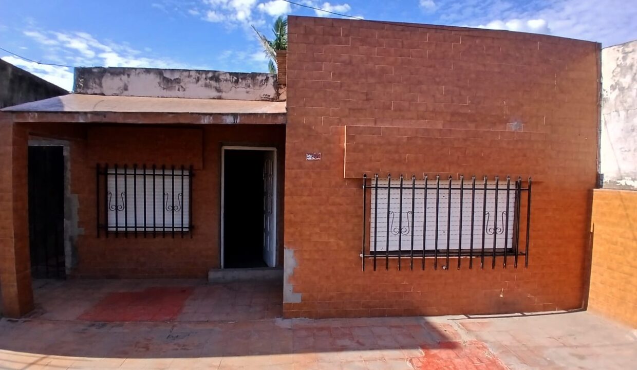 WhatsApp Image 2026-02-12 at 12.46.03