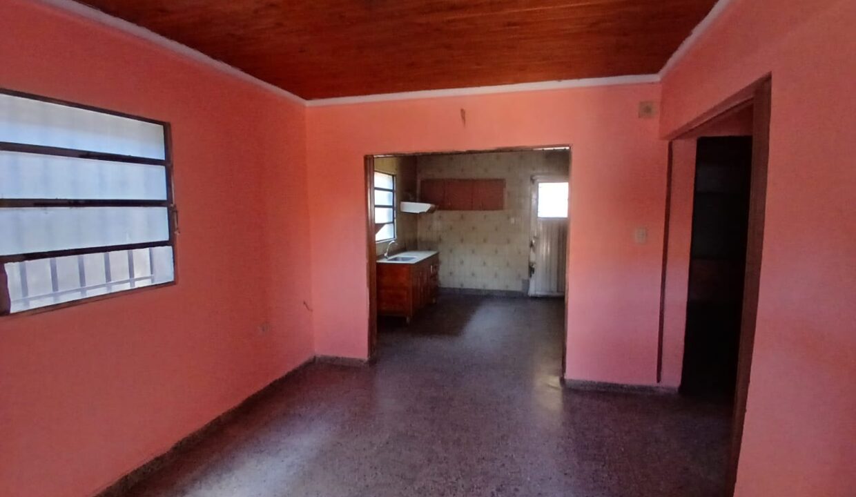 WhatsApp Image 2026-02-12 at 12.46.03 (2)