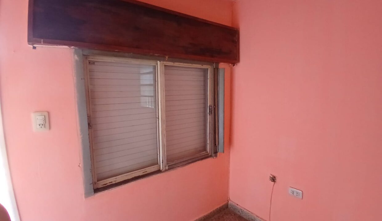 WhatsApp Image 2026-02-12 at 12.46.04