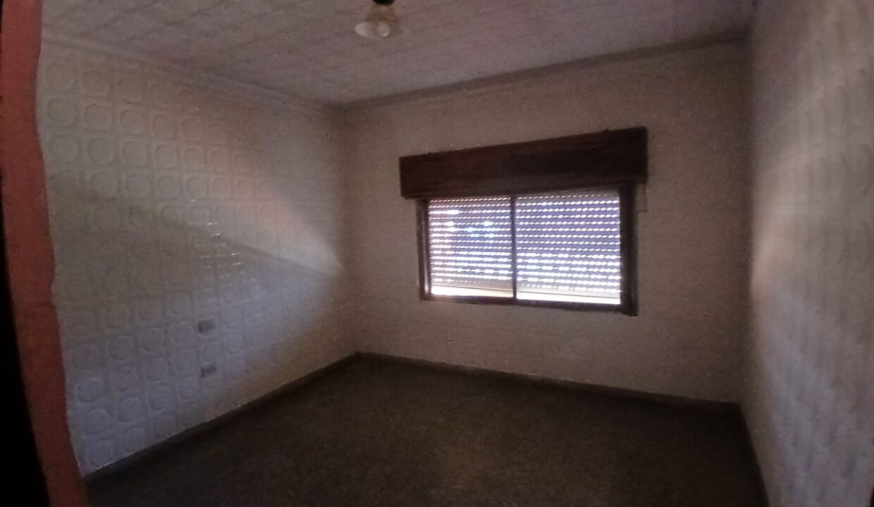 WhatsApp Image 2026-02-12 at 12.46.05