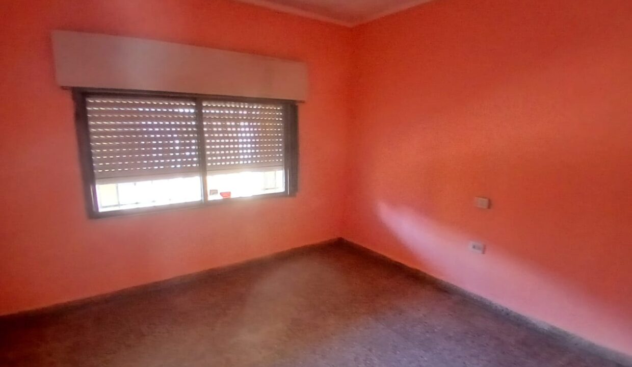 WhatsApp Image 2026-02-12 at 12.46.06