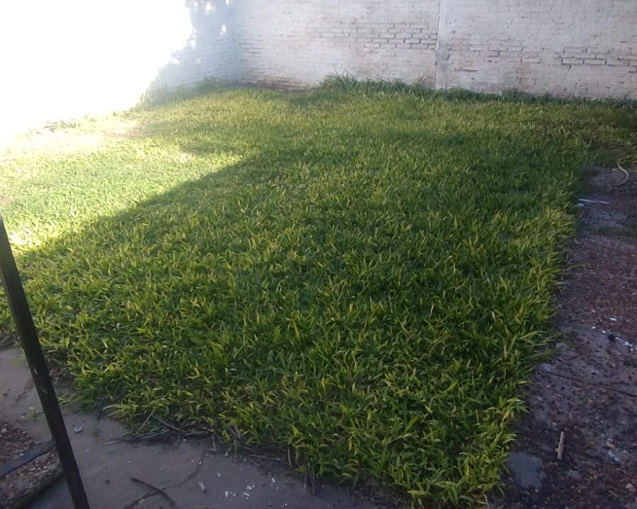 08fa4a78-910b-4416-8272-26c0e56ffe32