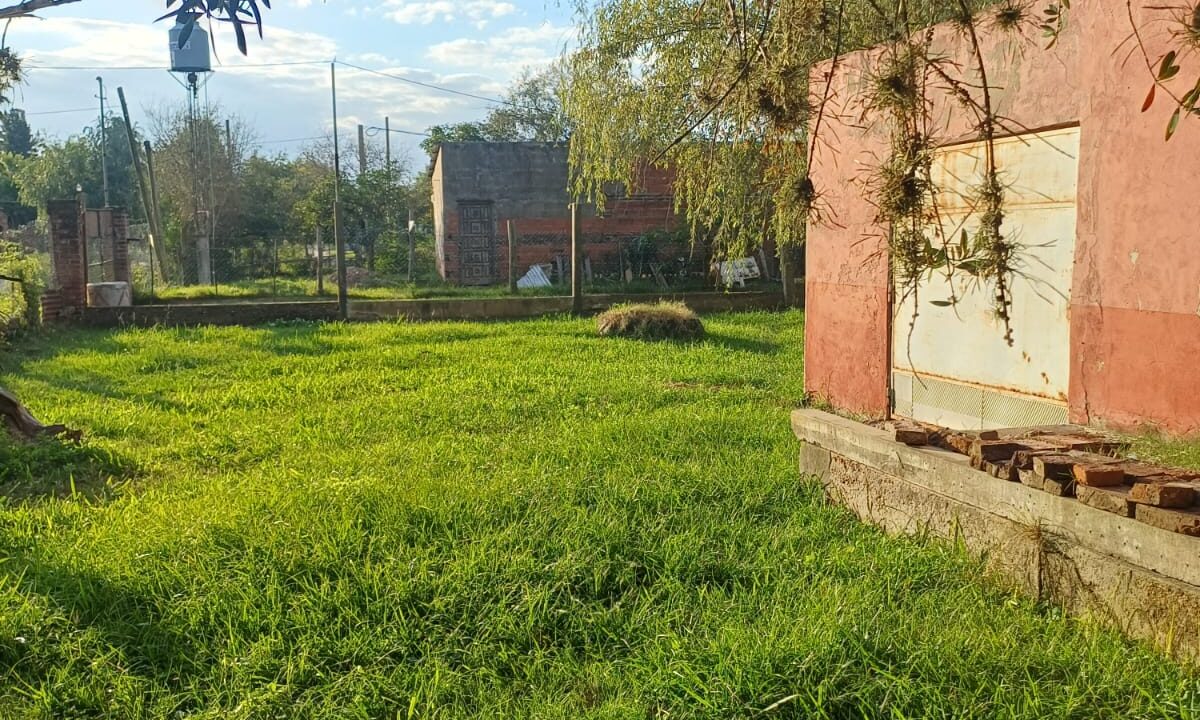 WhatsApp Image 2026-05-13 at 09.40.29 (2)